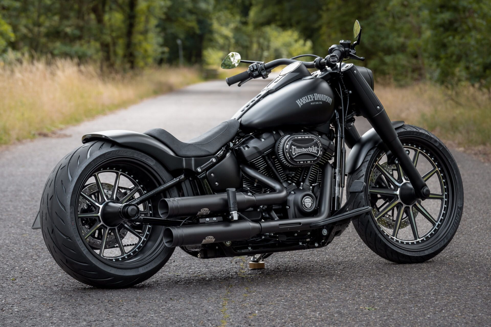 Harley-Davidson: The Ultimate Cruiser