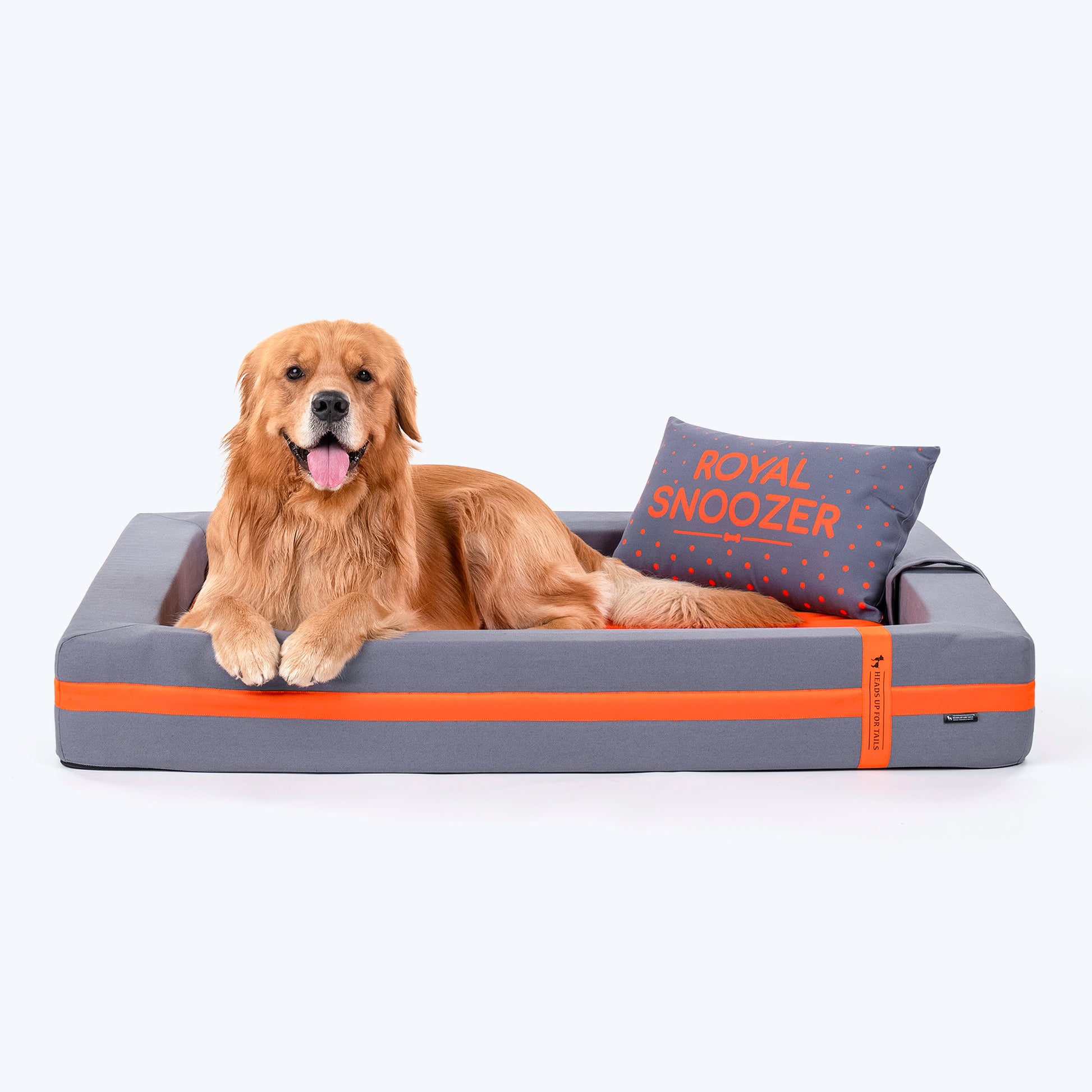 Dog Beds: Pamper Your Pets with Comfort