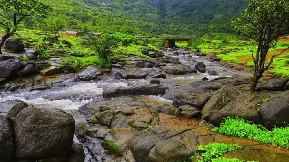 Chandrapur, Maharashtra: A Leader in Waste-to-Energy