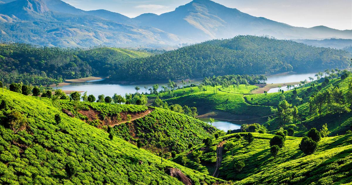 Munnar, Kerala – The Serene Escape