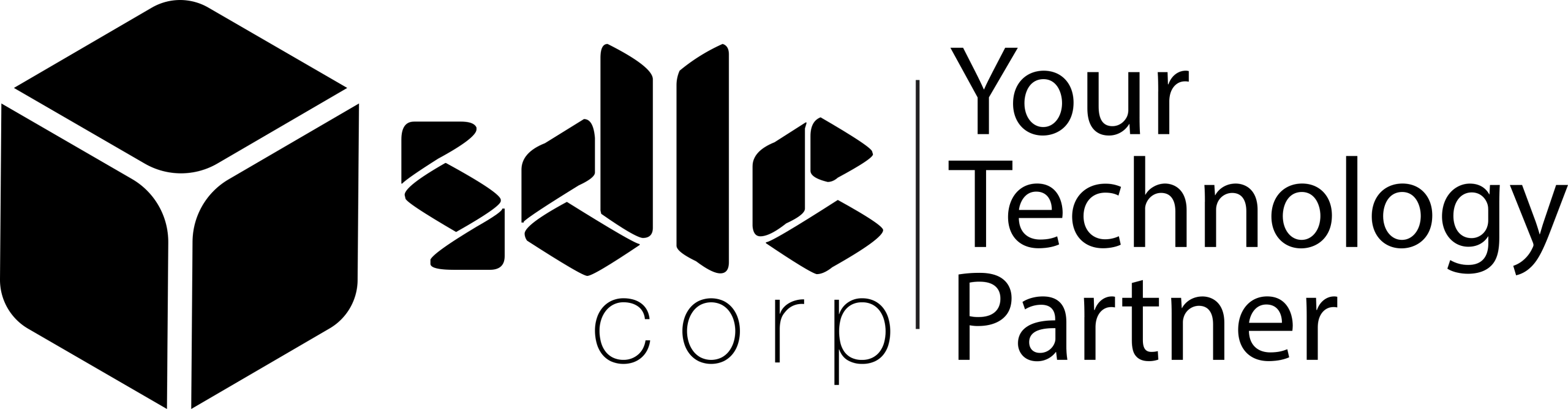SDLC Corp: Your Technology Partner