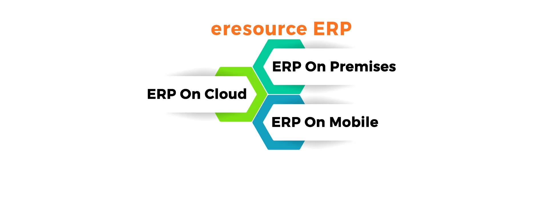 Eresource ERP: Tailored for Multi-Mode Manufacturing
