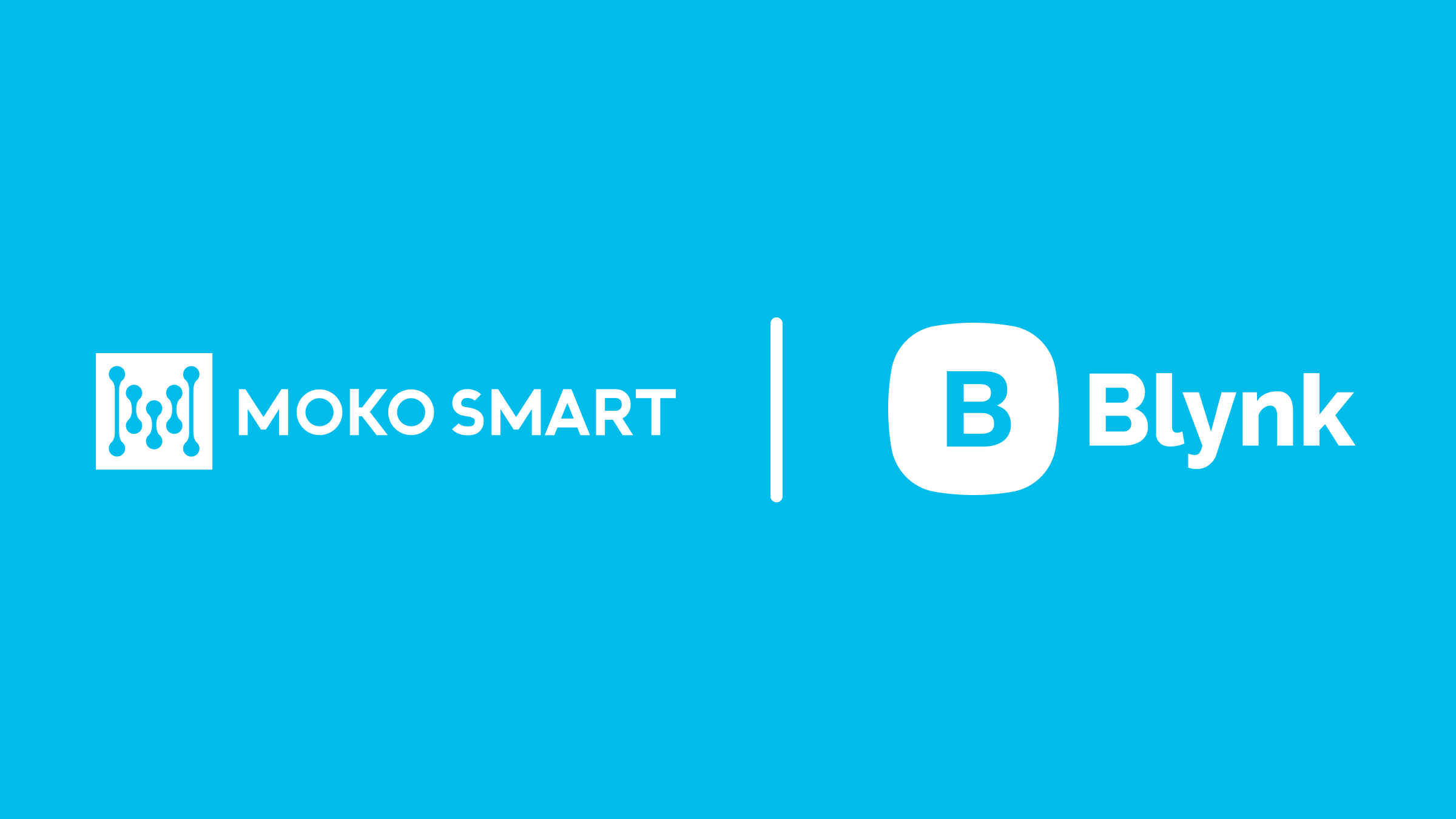 Blynk POS: Best for Seamless Retail & Restaurant Management
