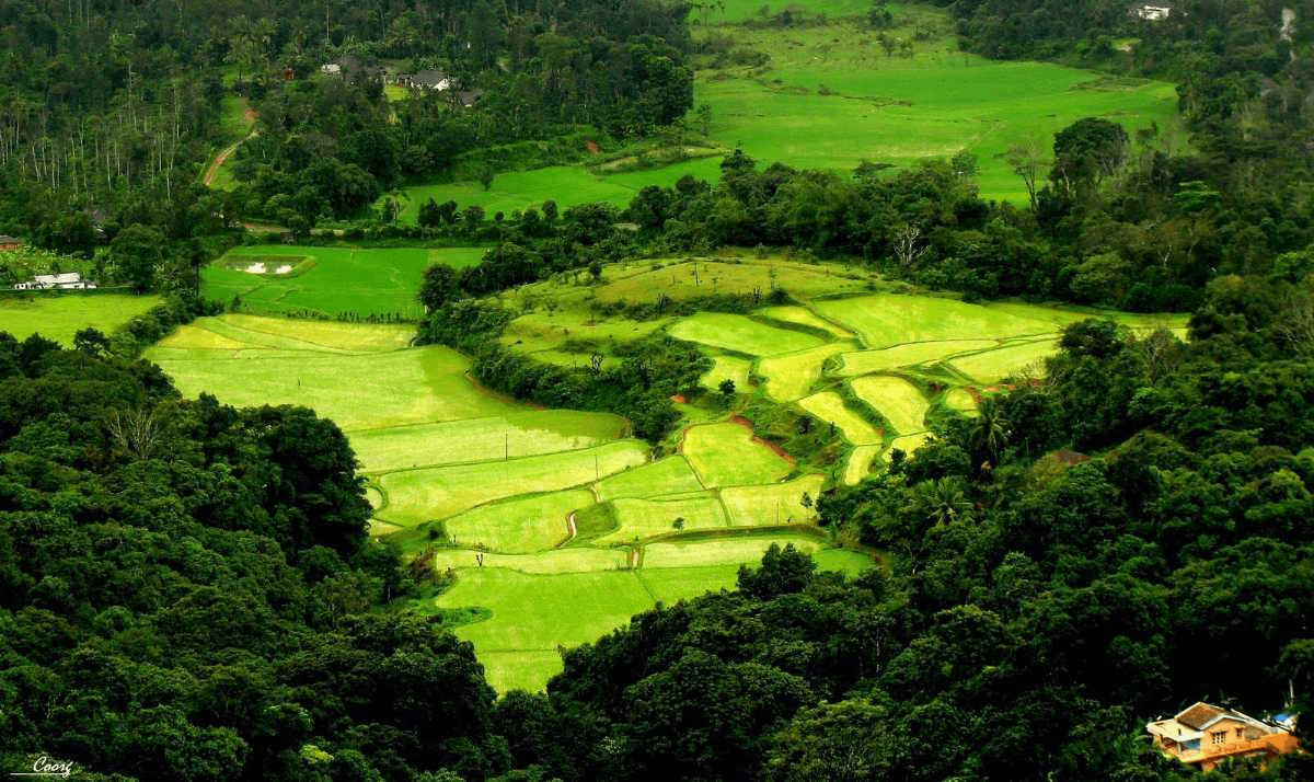 Coorg, Karnataka: The Scotland of India