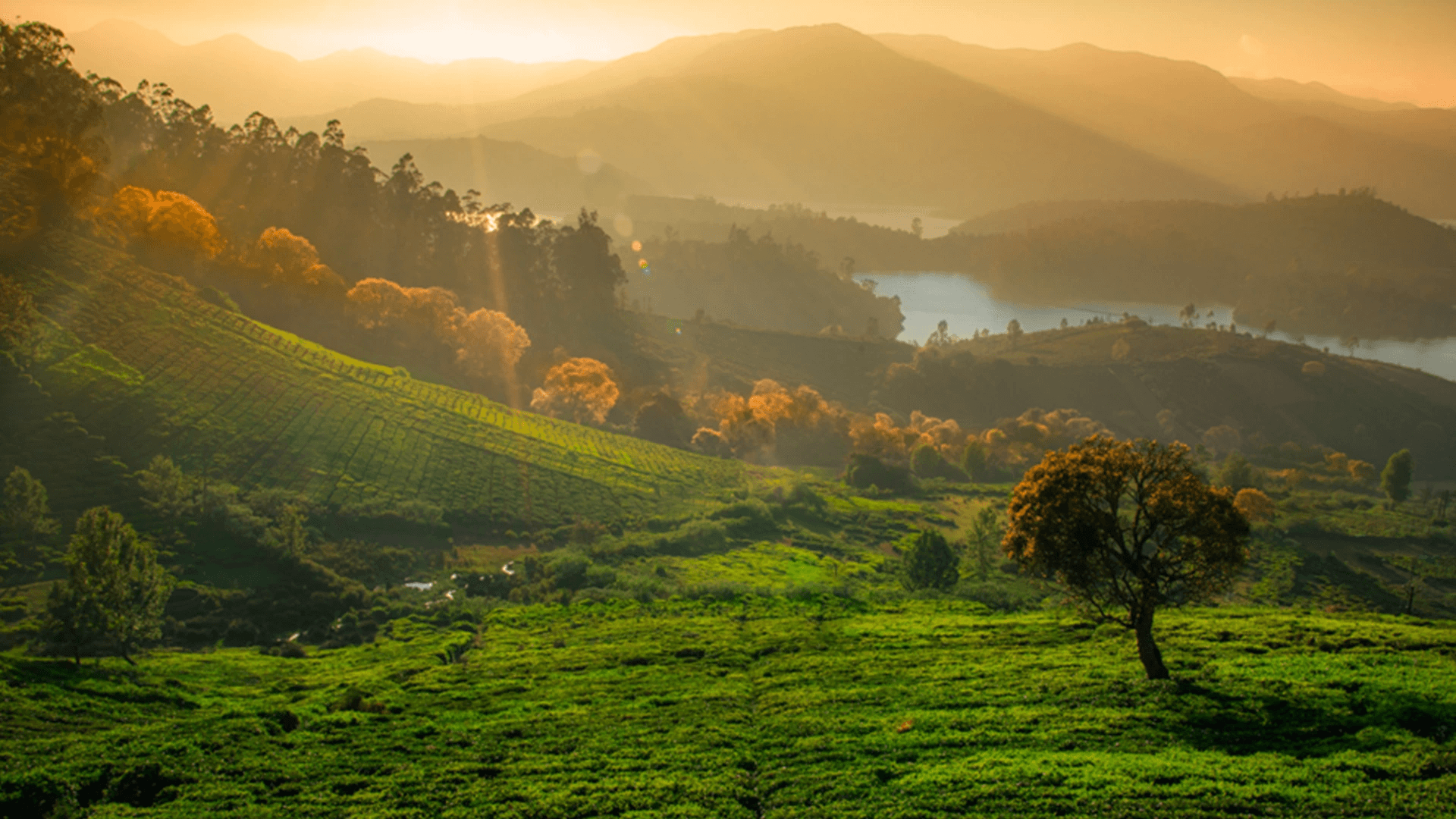 Ooty, Tamil Nadu: The Queen of Hill Stations