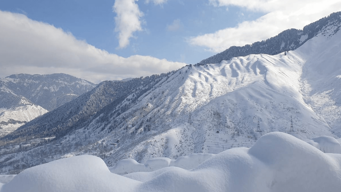 Gulmarg, Jammu & Kashmir: A Meadow in Bloom