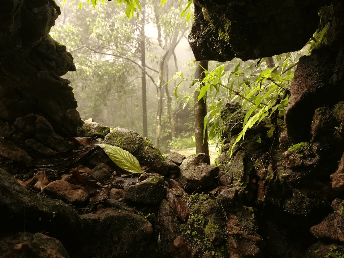 Cherrapunji, Meghalaya: A Monsoon Marvel