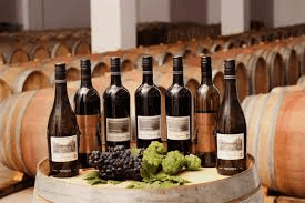 Reserve Tempranillo By Charosa – A Wine of Distinction from Maharashtra