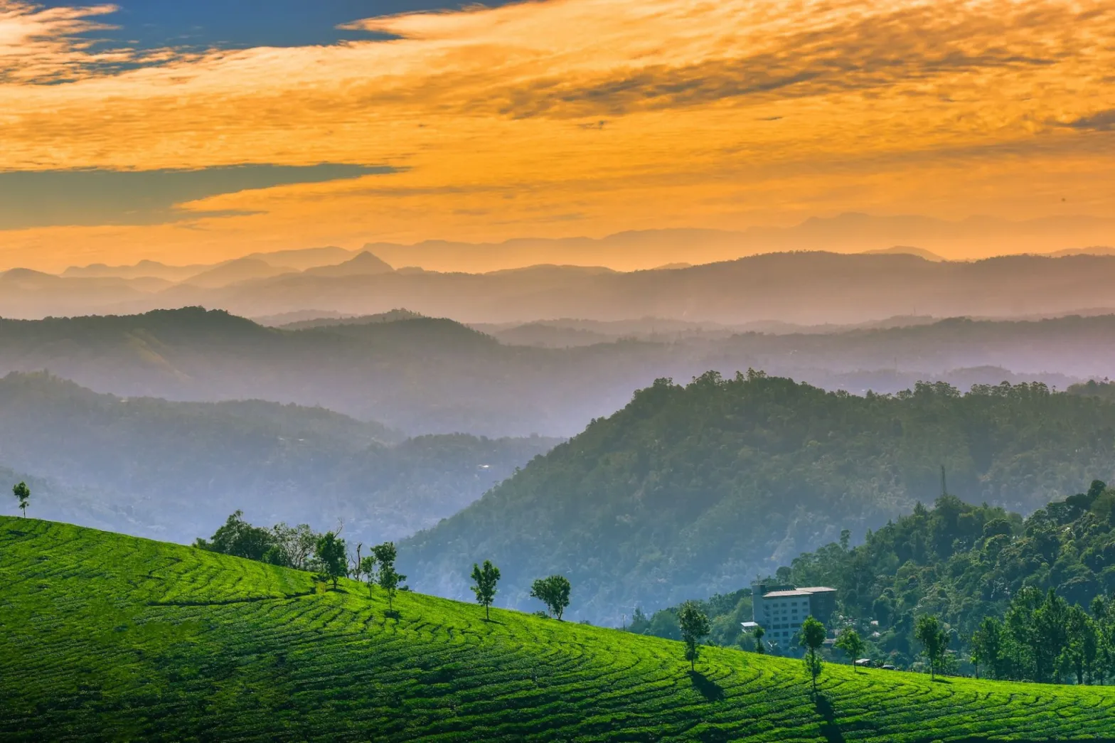 Munnar: A Verdant Paradise