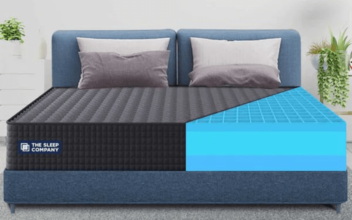 The Sleep Company: Revolutionary Posture Support