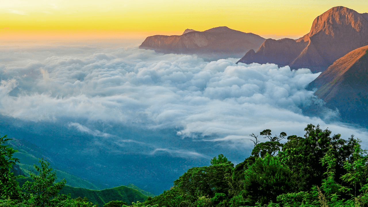 Munnar: The Green Paradise of Kerala