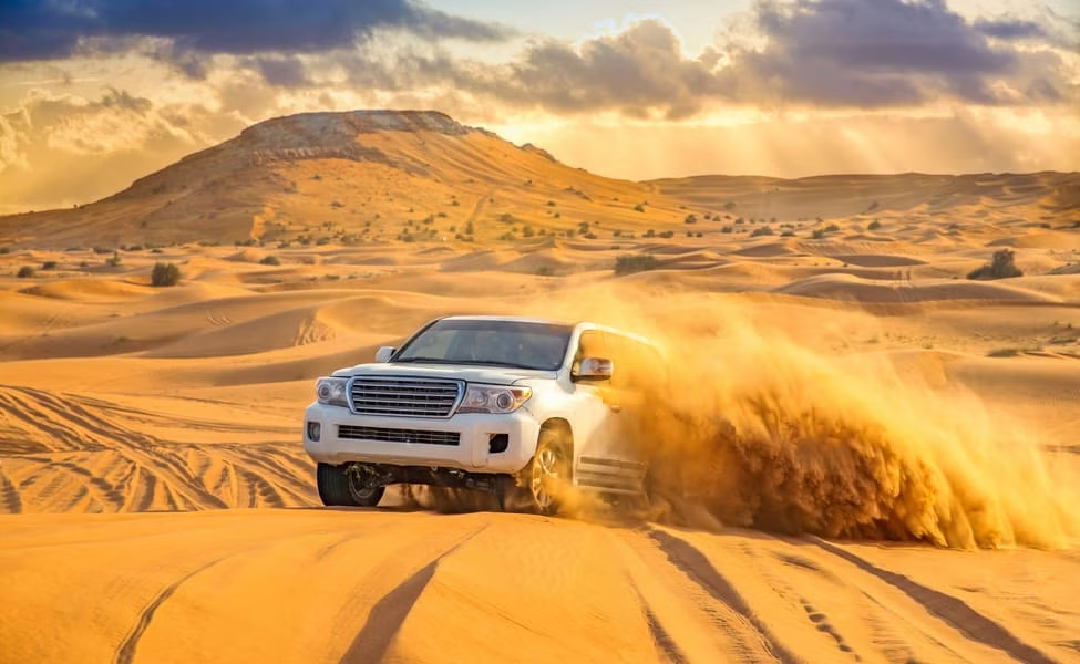 Evening Desert Safari with Camel Ride & BBQ Dinner