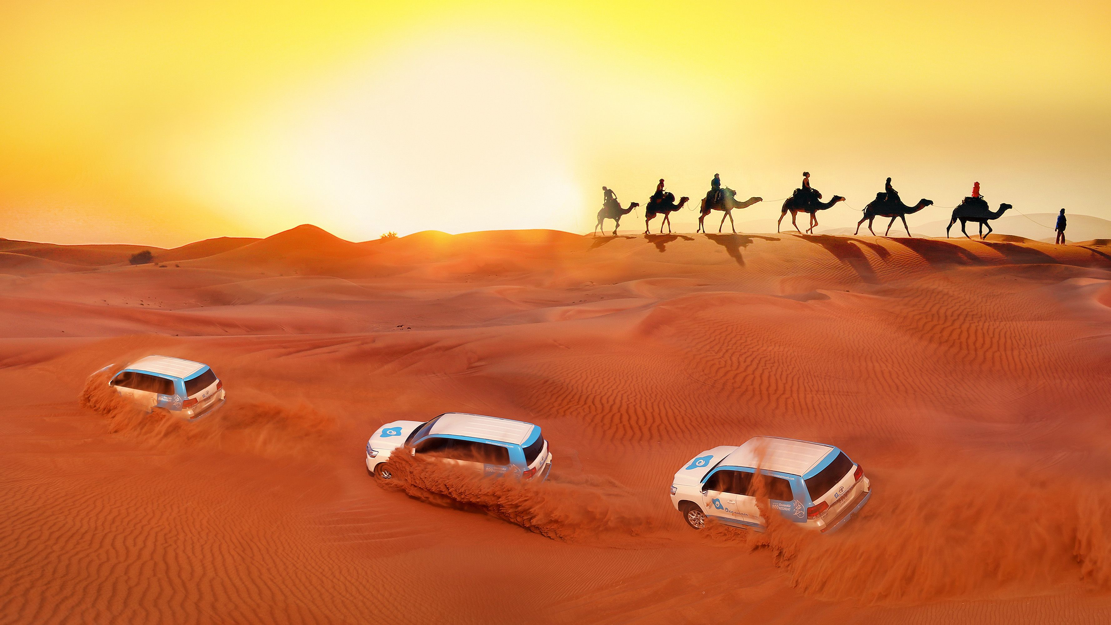 Premium Red Dunes Safari with Camels & 5 BBQ at Al Khayma Camp