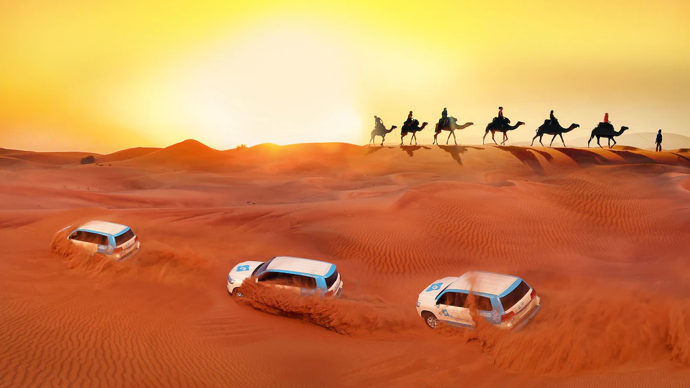 Overnight Desert Safari with BBQ & Stargazing at Al Khayma Camp