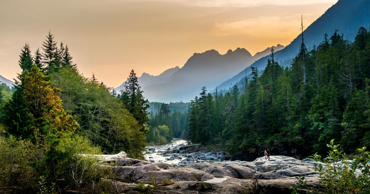 Vancouver Island: A Natural Paradise