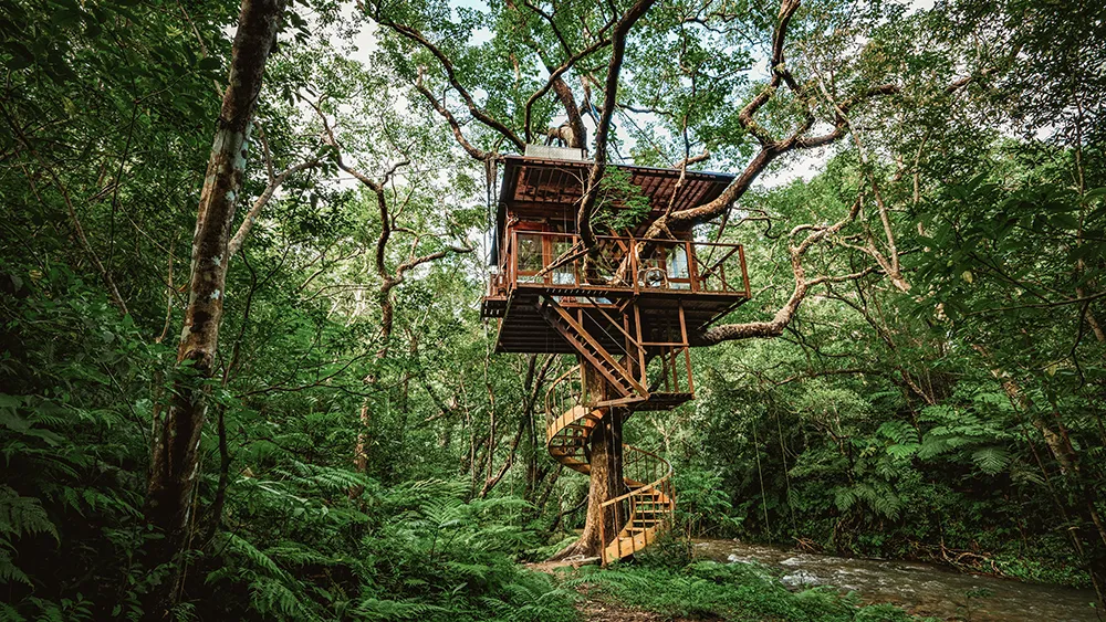 Treehouse: Master Technology Skills with Confidence