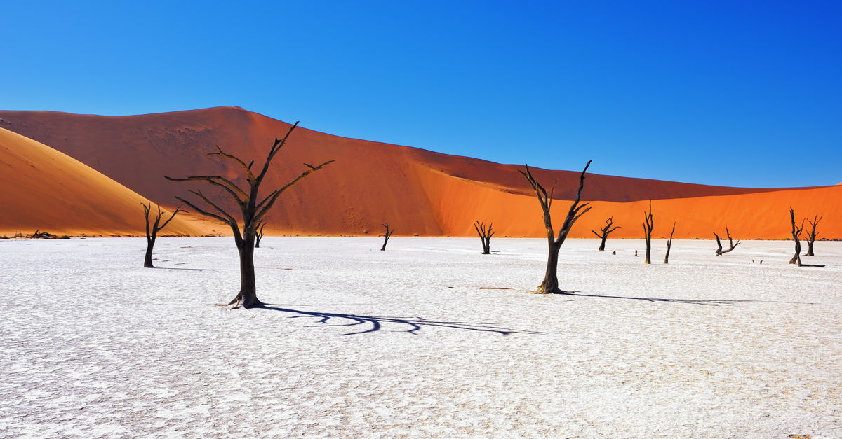 Namibia: Desert Landscapes and Stargazing Dreams