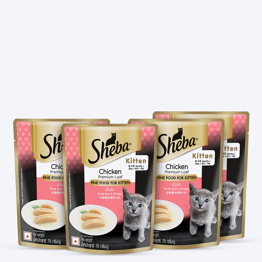 Sheba Dry Cat Food Chicken Flavour: A Crunchy & Meaty Delight