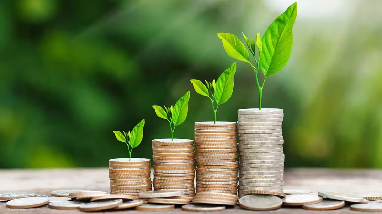 Mutual Funds: Growth-Oriented, Expertly Managed Wealth Creation