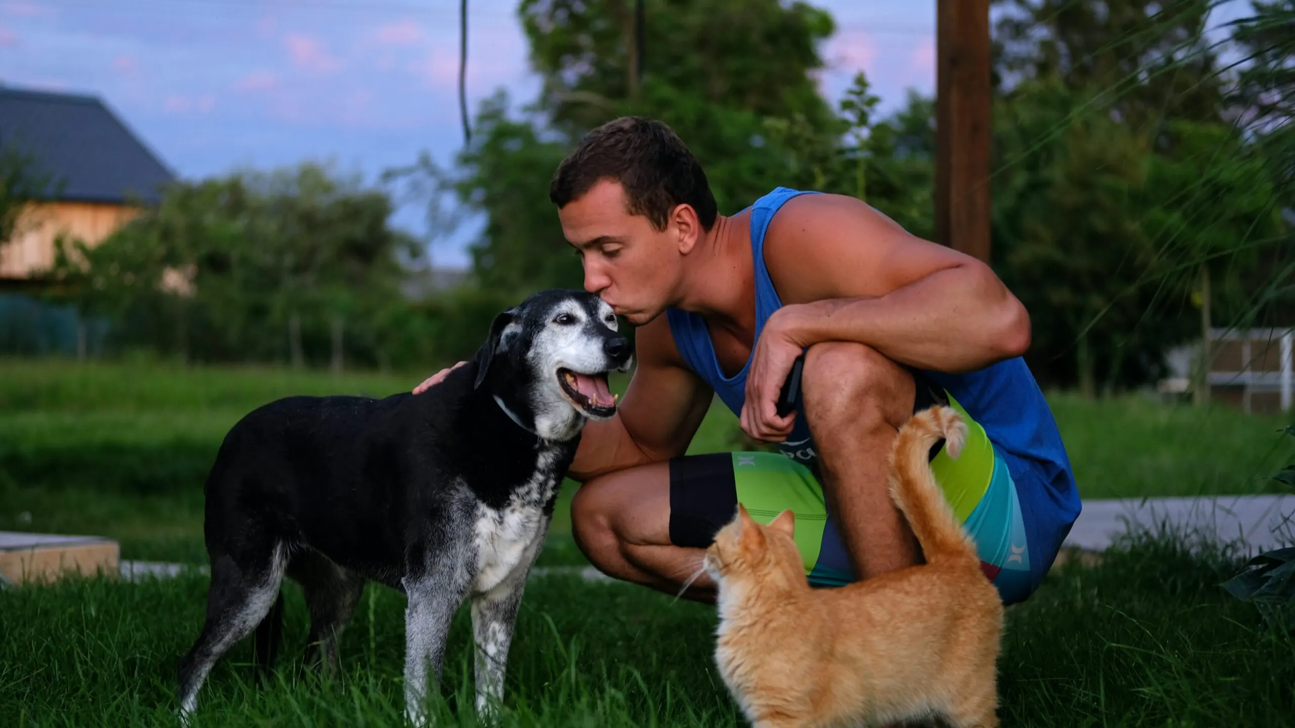 10 Best Pet Insurance Plans